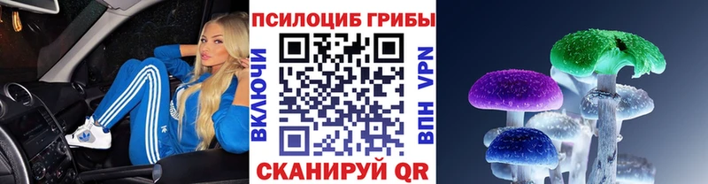 Галлюциногенные грибы Psilocybine cubensis Екатеринбург